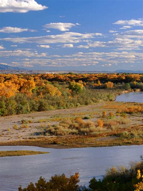 Fall Colors In New Mexico Foliage Byways And Wildlife