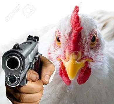 Chicken with a gun Blank Template - Imgflip