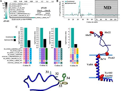 African Swine Fever Virus Gene B117l Encodes A Small Protein Endowed With Low Ph Dependent