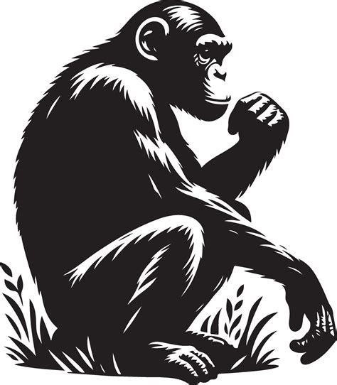 chimpanzee silhouette black color silhouette  vector art