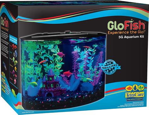 Amazon Glofish Aquarium Kit With Blue Led Light Gallon By