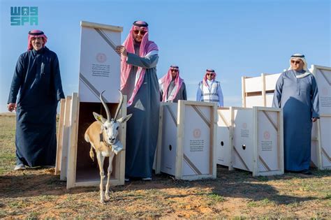 Prince Turki Bin Fahd Releases Rare Wild Species Into Imam Turki Bin