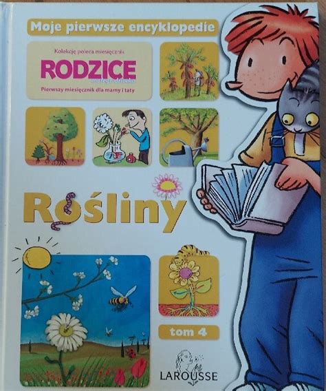 Rośliny Wroclaw Kup teraz na Allegro Lokalnie