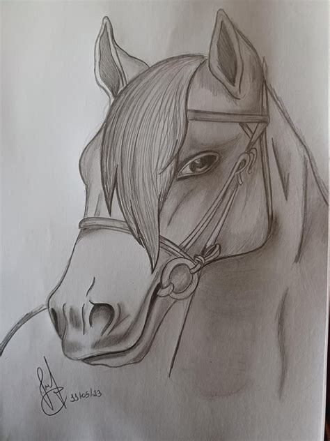 Practicing shading 🐴 : r/drawing