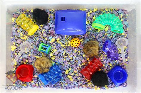 Small Pet Sensory Table Mighty Scholars Preschool