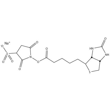 Hook Sulfo Nhs Biotin Micro