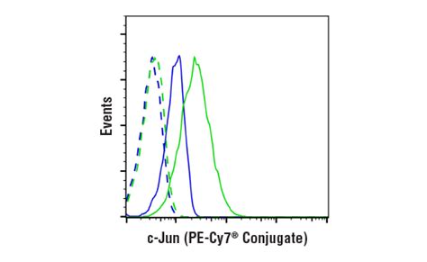 C Jun A Rabbit Mab Pe Cy Conjugate Cell Signaling Technology