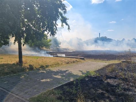 Ausgedehnter Fl Chenbrand Einsatzbericht Gelsenkirchen Bismarck