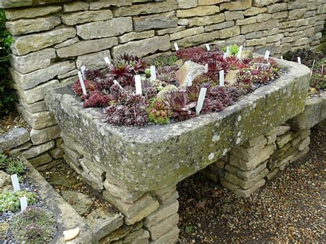 How To Make A Container Rock Garden Dengarden