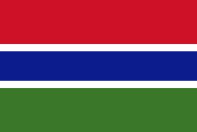 The Gambia flag vector - country flags