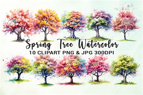 Spring Tree Watercolor Clipart Graphic by Venime · Creative Fabrica