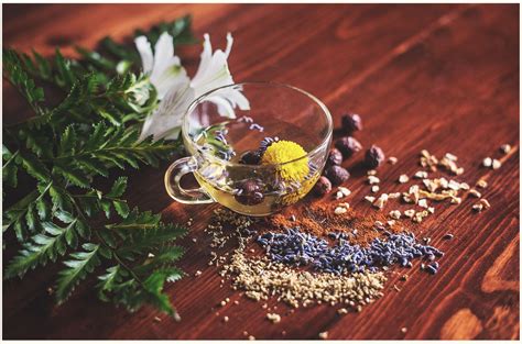 The 5 Best Herbal Ingredients For Your Skin | Tatler Asia