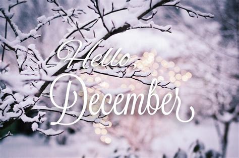 Winter Branches - Hello December Pictures, Photos, and Images for ...