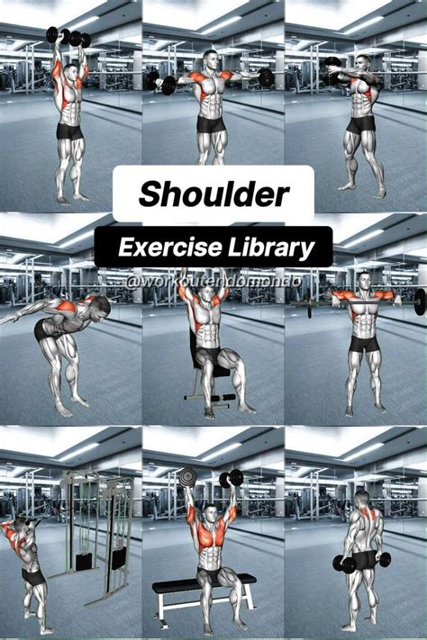 Perfect Shoulder Workout Routine Build Strength Fast Shoulder