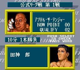 Super Fire Pro Wrestling 2 Image