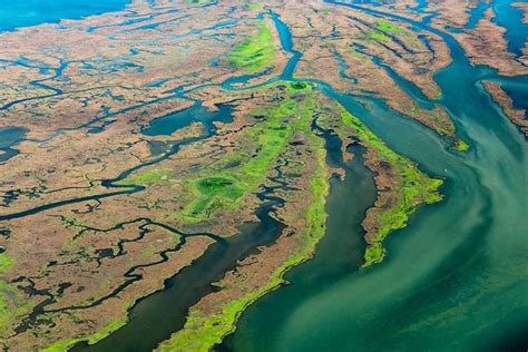 Submerged Aquatic Vegetation A Habitat Worth Sav Ing