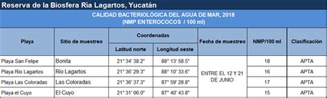 De San Crisanto A Dzilam Bravo Las Playas M S Contaminadas De Yucat N