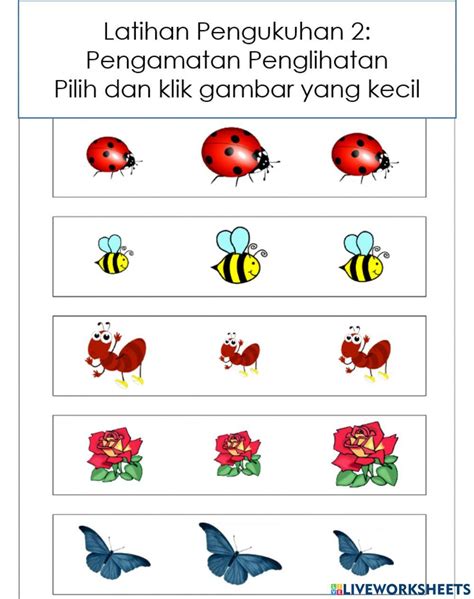 Kemahiran Manipulatif Latihan 2 Pengamatan Penglihatan Worksheet Live Worksheets