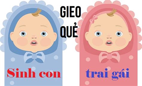 Gieo quẻ sinh con trai hay gái dễ dàng và chuẩn xác