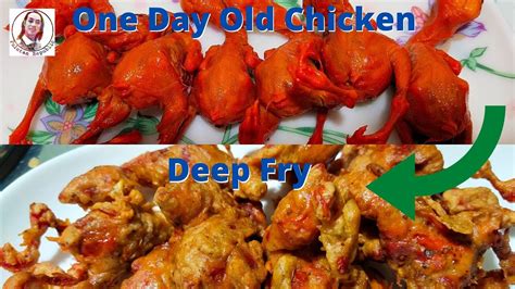 One Day Old Chick Deep Fry Youtube