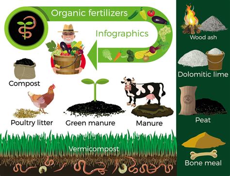 What's Organic Fertilizer- Definition & Type | Dora Agri | Organic ...