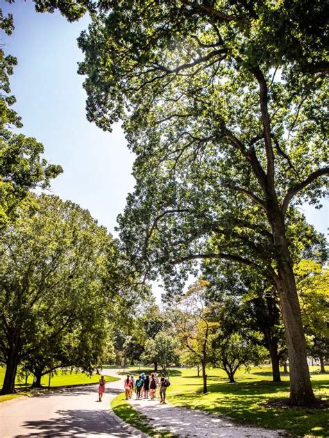 Free Guided Tour Of Dix Park Learn About The Past Future