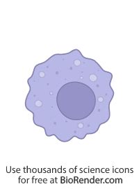 Free Macrophage Icons Symbols Images Biorender