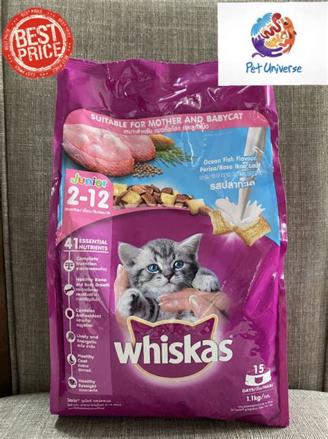 Whiskas Junior Months Dry Cat Food Ocean Fish Flavour Kg