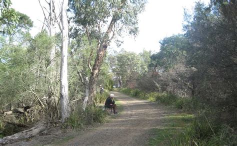 Tracks Trails And Coasts Near Melbourne Churchill National Park