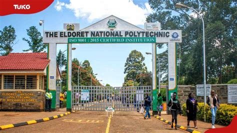 D courses in Eldoret Polytechnic with admission requirements - Tuko.co.ke