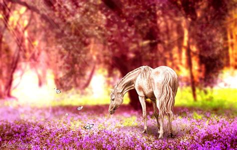 Beautiful Horse Hd Wallpaper For Pc - Infoupdate.org