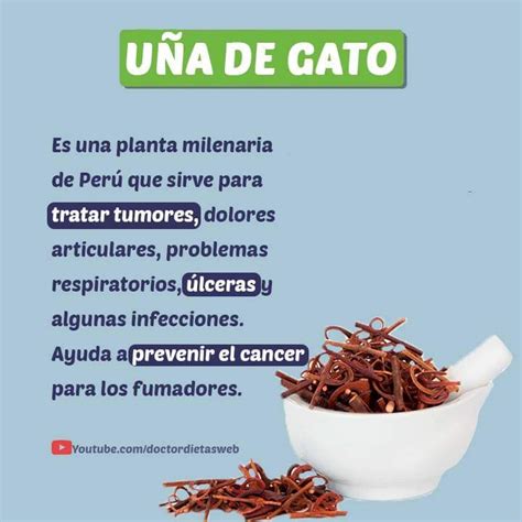 Uña de Gato 100 gramos Vivero El rincón Medicinal