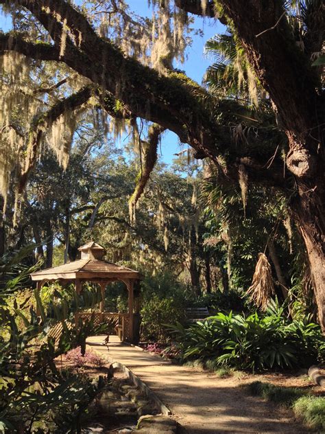 Washington Oaks Gardens State Park Palm Coast Fl Nofilter