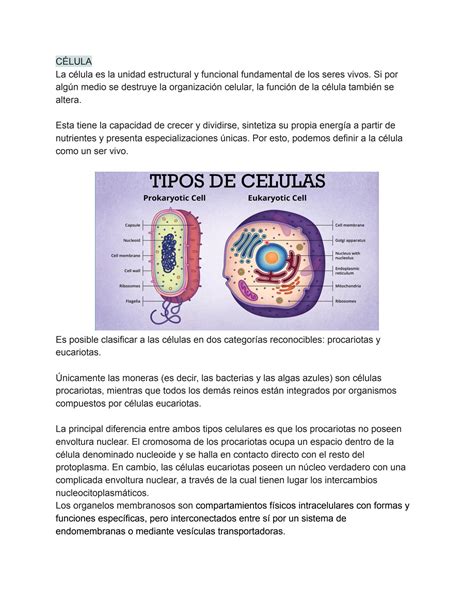 SOLUTION Bases De La Biolog A Celular Molecular Y De La Histolog A