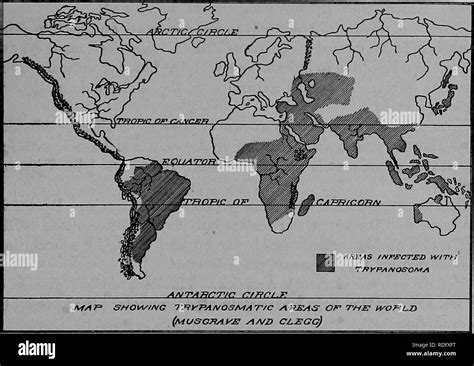 La patología y el diagnóstico diferencial de las enfermedades