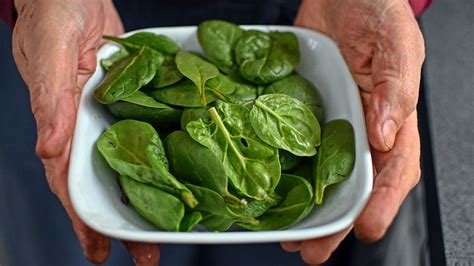 How To Harvest Spinach