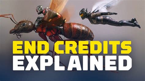 Ant-Man and the Wasp End Credits Scenes Explained - IGN