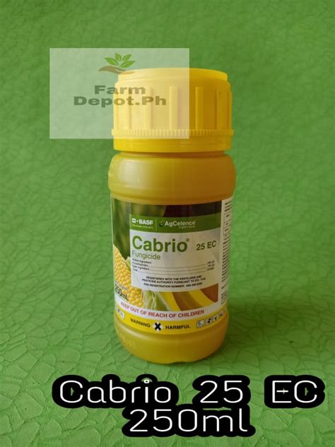 Cabrio Ec Fungicide Ml Ml By Basf Lazada Ph