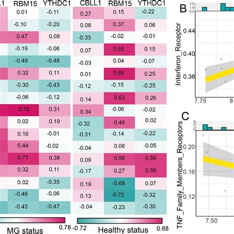 The Correlations Between Immune Reaction Pathways And Dysregulated M A