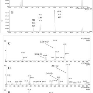 Representative UPLC Chromatograms And Tandem ESI QTOF MS Mass