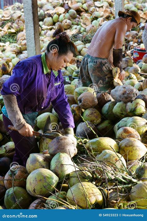 Asian Worker Coconut Vietnamese Mekong Delta Editorial Stock Photo