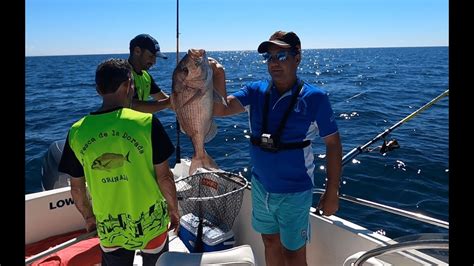 Pargos Y Corvinas Acompa Ados Por La Pesca De La Dorada Granada Y