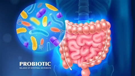 Gut Microbiome And Diabetes Expert Explains Role Of Gut Microbiome