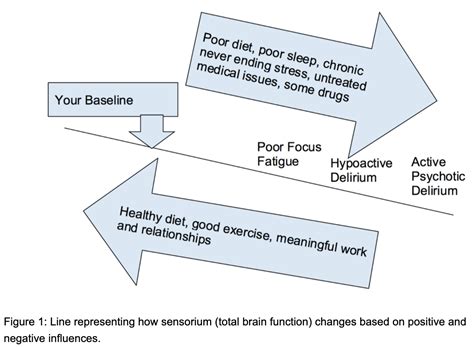 Episode 006: Sensorium Part 1: Total Brain Function Optimization ...