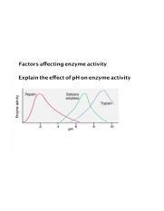 Factors Affecting Enzyme Activity Pdf Factors Affecting Enzyme