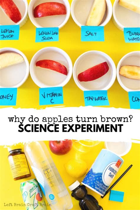 Why Do Apples Turn Brown Science Experiment