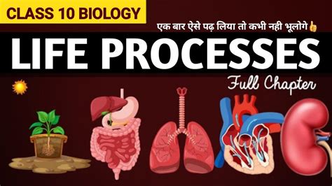 Life Processes Class 10 Science Biology Biology Class 10 Chapter 1