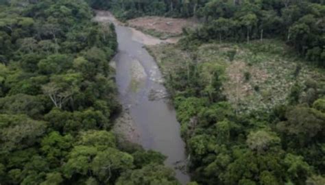 Flujo De Migrantes Por La Selva Del Darién Disminuyó En Noviembre