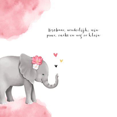 Geboortekaartje Meisje Lief Olifant Watercolor Kaartje Go