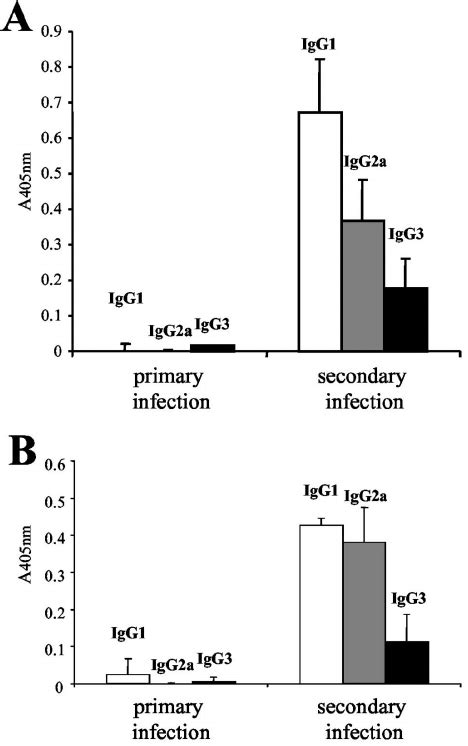 Reactivity Of Sera From Eight Mice Infected With E Mul Tilocularis